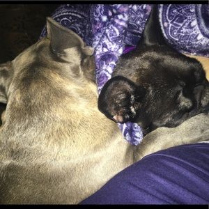 Meet your Posher, Jill